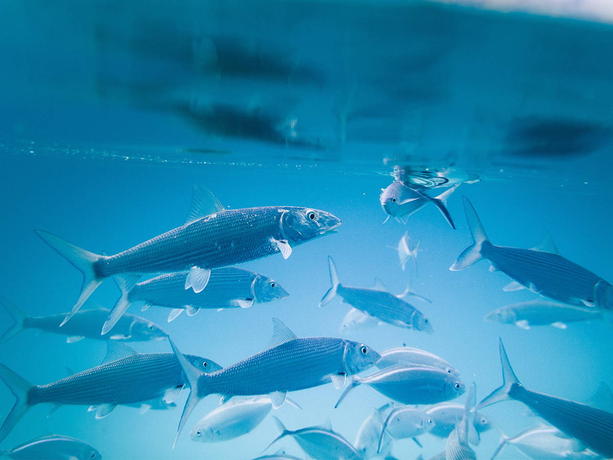 Packaging trends for 2018